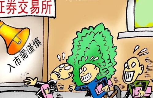 牛散孵化記錄 借錢(qián)投資的陷阱與自有資金的力量